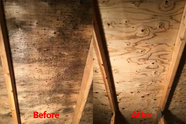 water damage restoration service Baltic